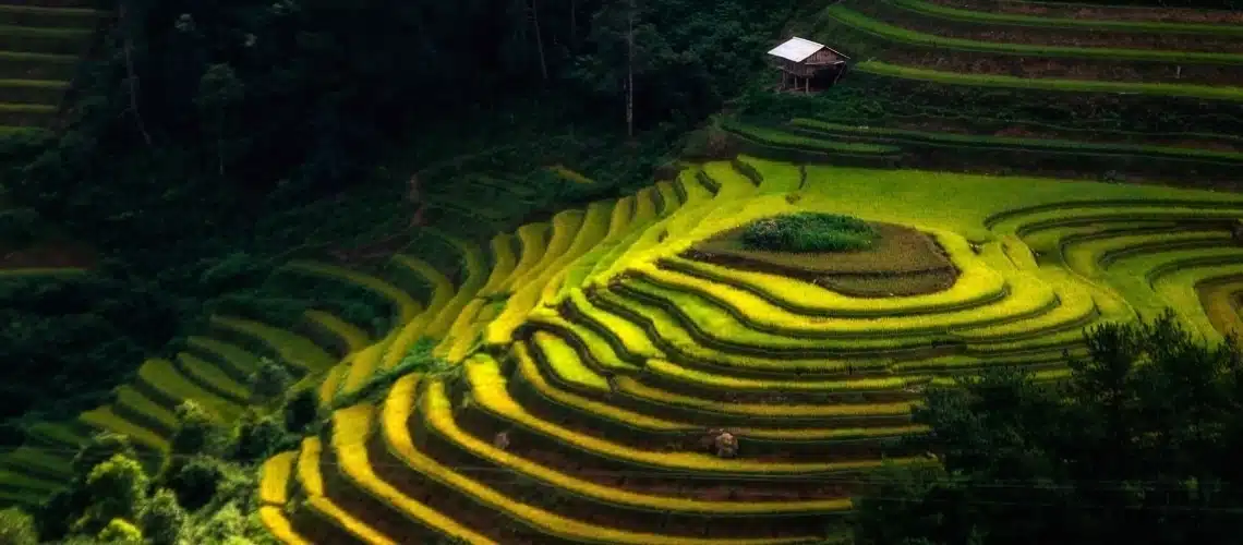 1772765441_Vietnam mountain e-bike tour.webp